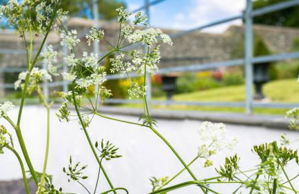 Bwthyn Ysgubor - Foto 56