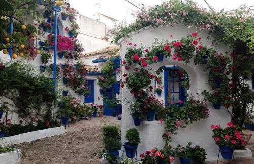 Patio San Lorenzo - Foto 29