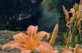 Casa Can Boix - Foto 29