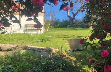 Buckley Cottage, Batson Salcombe - Foto 29