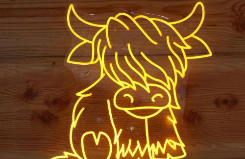 Abergwynant Farm Glamping & Apartments - Foto 25