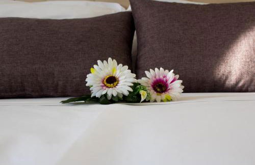 Coluni Sport & Resort srl - Foto 7