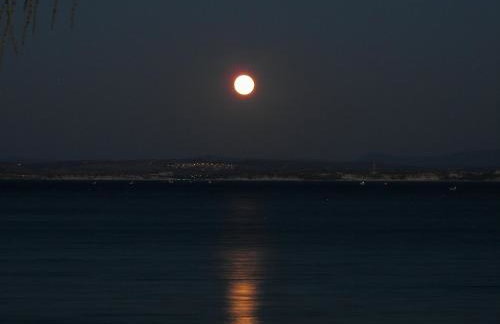 Theoxenia Chios Apartments - Photo 75