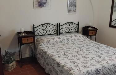 Agriturismo La Burraia vicino a San Gimignano-Air conditioning-EV wallbox - Foto 75