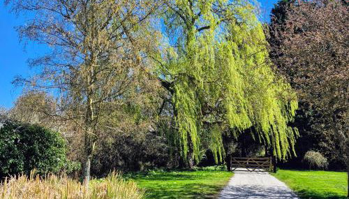 Secluded 16th Century Farmhouse with private grounds - Foto 2