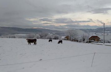 La Grange de Capucine, gite de caractère - Foto 12