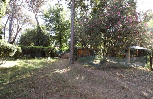 Appia Antica 2BR with swimming pool - Photo 33