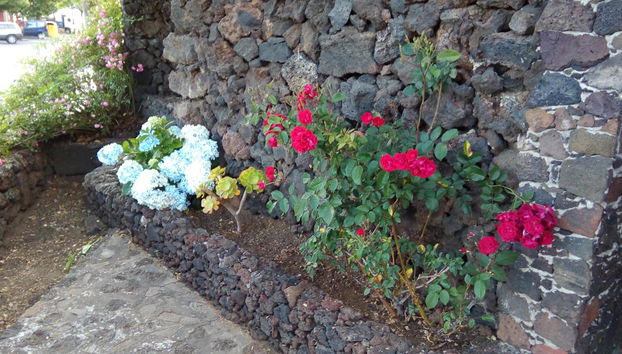 Aborigen Bimbache Casa Rural - Foto 2