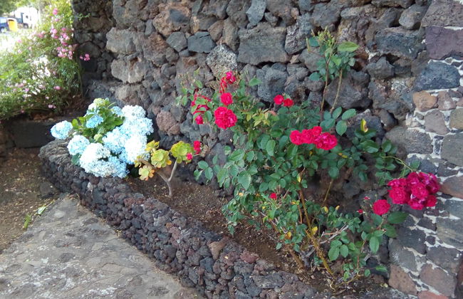 Aborigen Bimbache Casa Rural - Foto 2