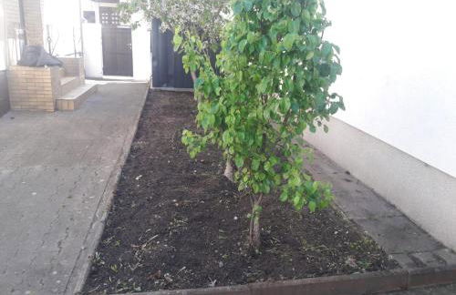 Rhein-Neckar-Apartments Viernheim - Foto 56