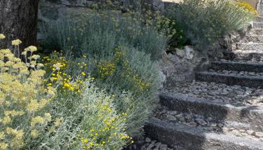 Villa Pia Lena - Foto 4