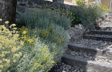 Villa Pia Lena - Foto 4