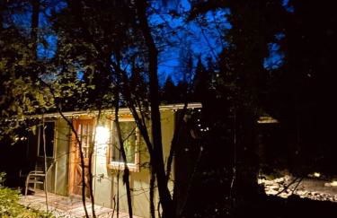 Mt Rainier Little Green Cabin On Big Creek! - Foto 38