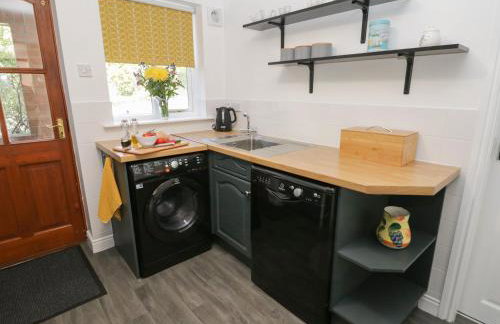 Dabbling Ducks - Foto 12