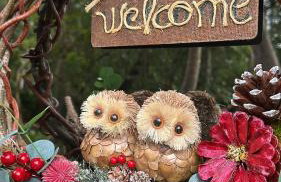 Cabana Sabá - Photo 10