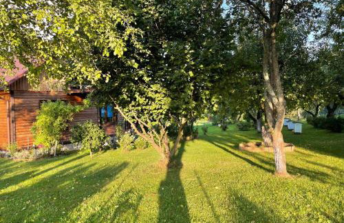 Agroturystka Dom w Owocowym Sadzie - Foto 10