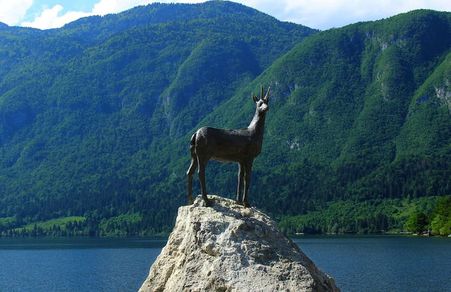 Balmy Apartment in Bohinjsko Jezero near Lake - Foto 27