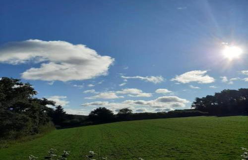 Das Kuenstlerhaus in Kammerstein - Photo 44