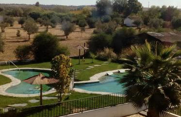 Lusitaurus - Foto 56