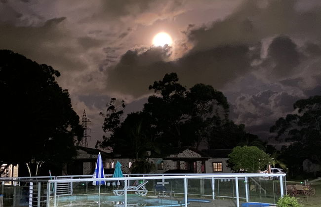 Haras Trevo de Ferro - Photo 21