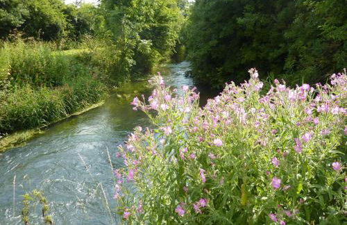 Low Costa Mill - Foto 18