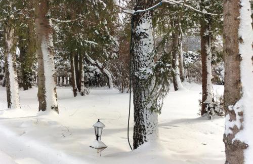 Domek całoroczny Pod Bieszczadzkim Aniołem - Foto 37