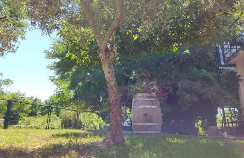 Apartment Ankica - Photo 20