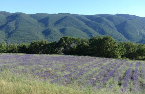 Grande maison de village - solarium et terrasse - Foto 25