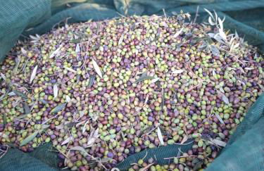 Il Casale di Dorothea - Foto 14