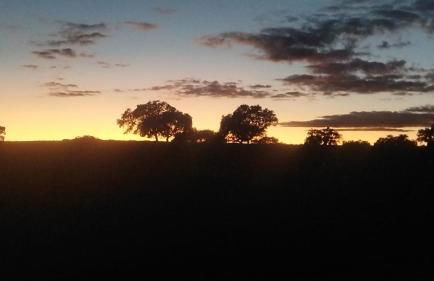 APARTAMENTO TURÍSTICO EL ESQUILÓN - Foto 38