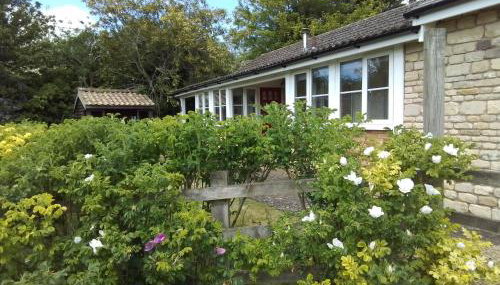 Elderflower Cottage - Foto 5, Garden
