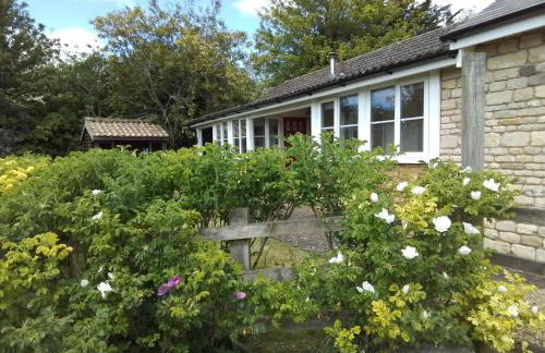 Elderflower Cottage - Foto 5