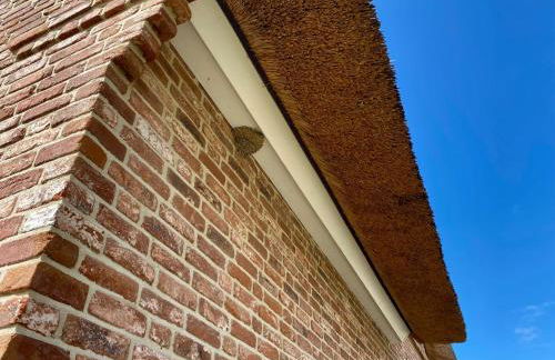 Reethus Linda - Foto 66