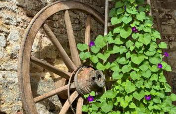 Ferienwohnung Burg Hausen - Foto 35