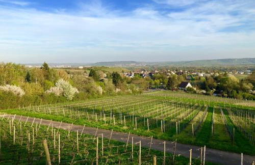 DAS Apartment am Weinberg - Foto 28