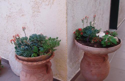 Aris Apartments - Foto 58