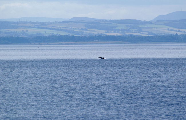 Easdale House - Foto 32