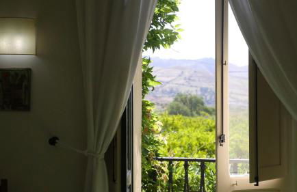 Barone GR Macrì Agriturismo Modi - Foto 42