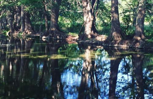 Swimming Hole - Foto 27