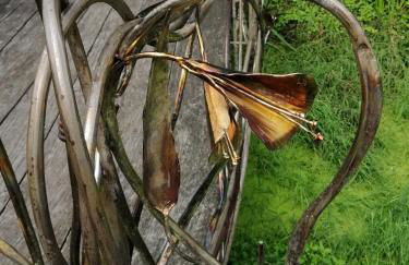 Kapitänsliebe - Foto 26