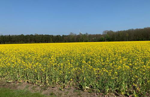 Ferienwohnung Am Haarhaus - Foto 18