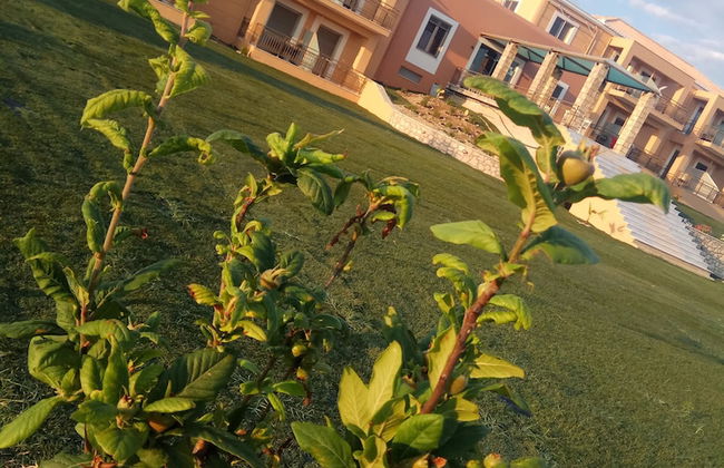 Finiki Plaza - Photo 44