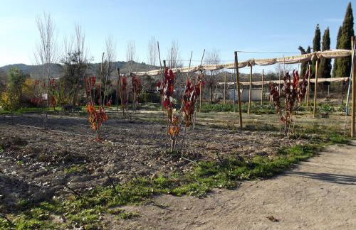 Centro de Agroecologia y Medio Ambiente de Murcia - Foto 16