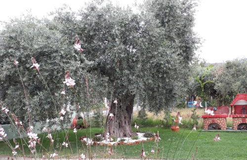 Villa Elia - Foto 44