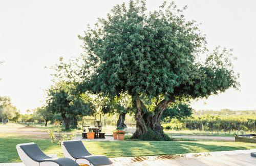 Conversas de Alpendre - Foto 42