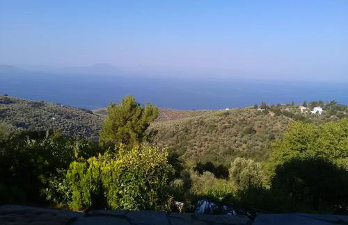 Panorama Studio Afetes - Photo 9