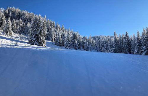 Résidence Ariondaz Hellebore - Superbe appartement exposé Sud au pied des pistes MAE-2554 - Foto 14