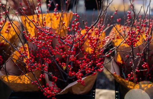 Wine Country Oasis Charming Farmhouse 10 Acres - Foto 25