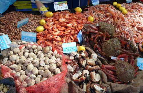 Villa in Primel with Sea View and Beach Access - Photo 56