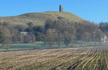 Glastonbury Vista - Foto 36